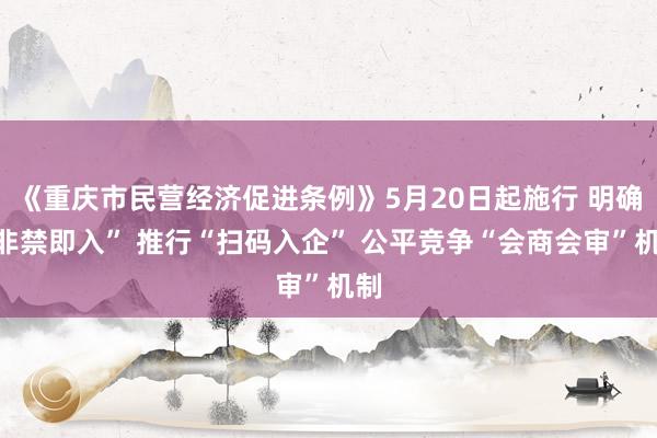《重庆市民营经济促进条例》5月20日起施行 明确“非禁即入” 推行“扫码入企” 公平竞争“会商会审”机制