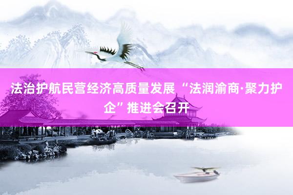 法治护航民营经济高质量发展 “法润渝商·聚力护企”推进会召开
