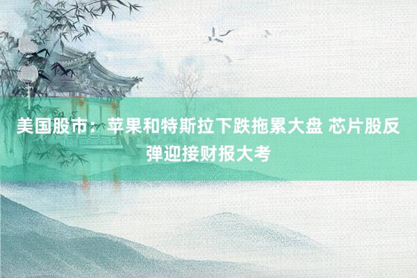 美国股市：苹果和特斯拉下跌拖累大盘 芯片股反弹迎接财报大考
